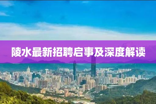 陵水最新招聘啟事及深度解讀