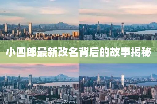 孤行者 第26頁
