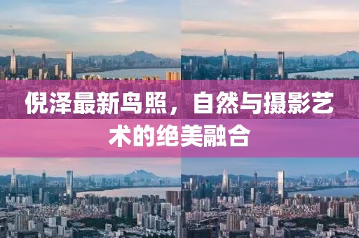 倪澤最新鳥照，自然與攝影藝術的絕美融合