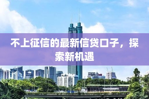 不上征信的最新信貸口子，探索新機(jī)遇