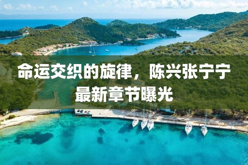 命運(yùn)交織的旋律，陳興張寧寧最新章節(jié)曝光