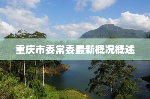 重慶市委常委最新概況概述