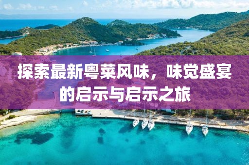 探索最新粵菜風(fēng)味，味覺盛宴的啟示與啟示之旅
