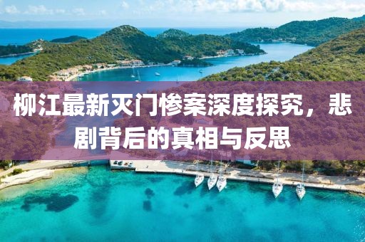 柳江最新滅門慘案深度探究，悲劇背后的真相與反思