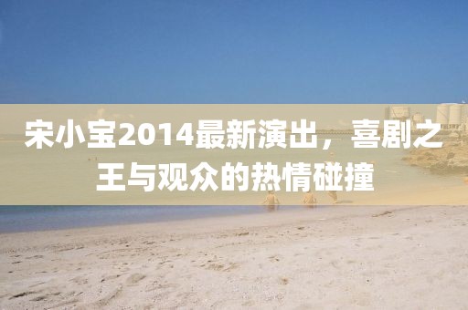 宋小寶2014最新演出，喜劇之王與觀眾的熱情碰撞