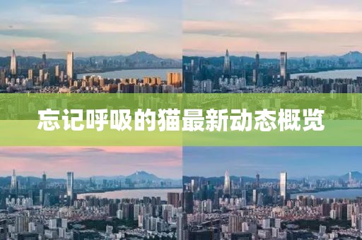 忘記呼吸的貓最新動態(tài)概覽