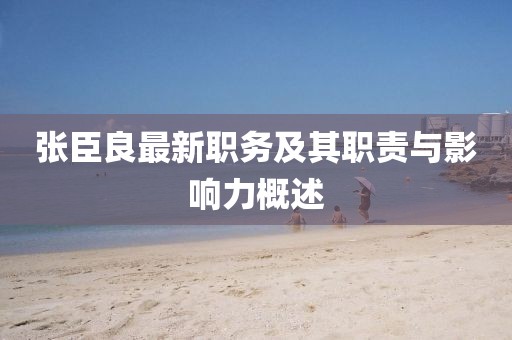 張臣良最新職務(wù)及其職責(zé)與影響力概述