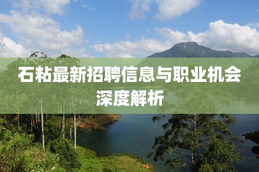 石粘最新招聘信息與職業(yè)機會深度解析