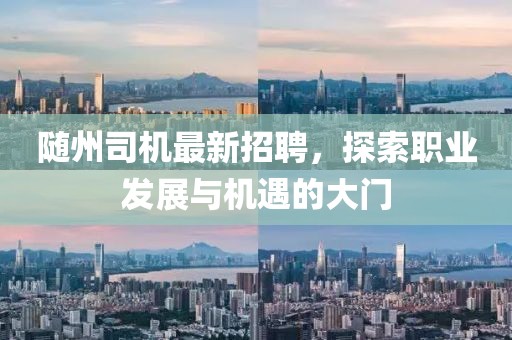 隨州司機(jī)最新招聘，探索職業(yè)發(fā)展與機(jī)遇的大門