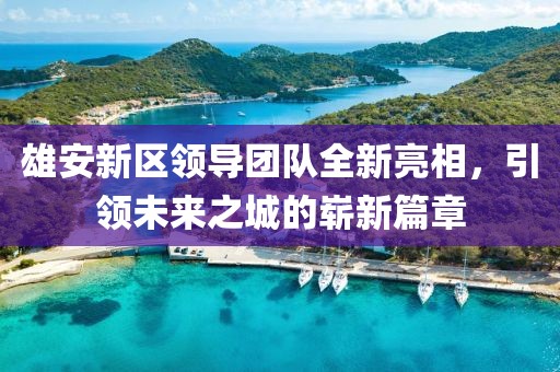 雄安新區(qū)領(lǐng)導(dǎo)團(tuán)隊(duì)全新亮相，引領(lǐng)未來(lái)之城的嶄新篇章