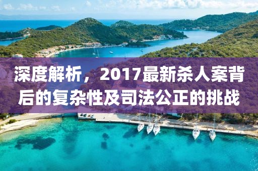 深度解析，2017最新殺人案背后的復(fù)雜性及司法公正的挑戰(zhàn)