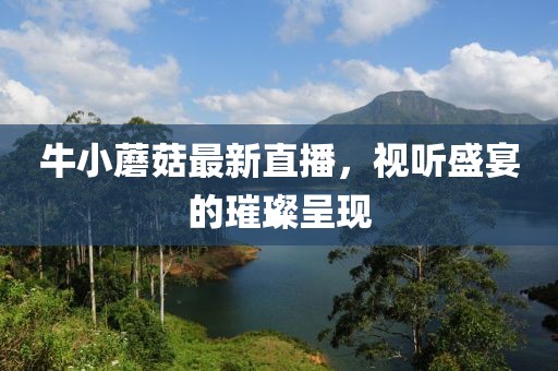 牛小蘑菇最新直播，視聽盛宴的璀璨呈現(xiàn)