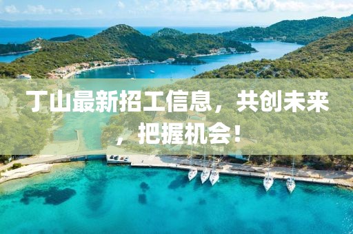 丁山最新招工信息，共創(chuàng)未來，把握機會！