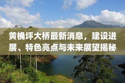 黃桷坪大橋最新消息，建設(shè)進(jìn)展、特色亮點(diǎn)與未來展望揭秘