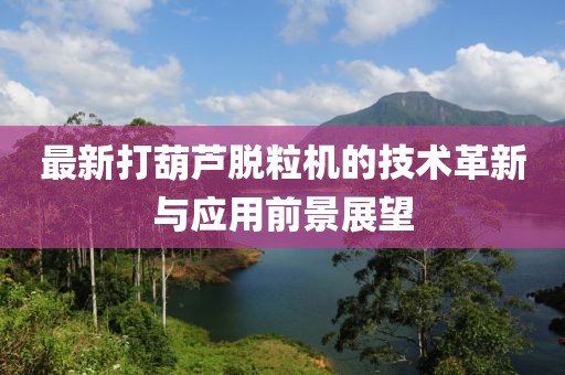 最新打葫蘆脫粒機(jī)的技術(shù)革新與應(yīng)用前景展望