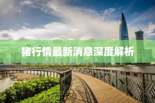 豬行情最新消息深度解析