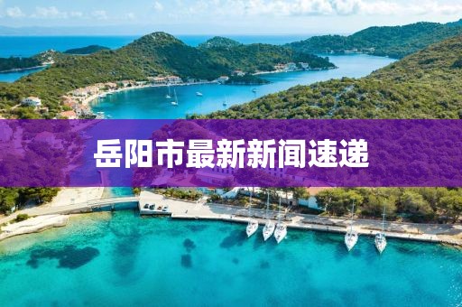 岳陽市最新新聞速遞