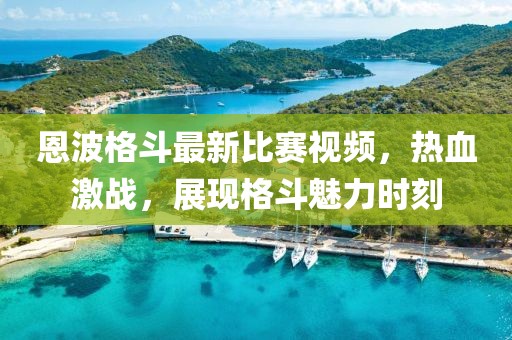 恩波格斗最新比賽視頻，熱血激戰(zhàn)，展現(xiàn)格斗魅力時刻