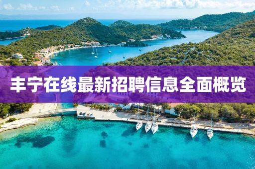 豐寧在線最新招聘信息全面概覽