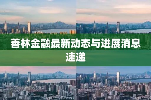 善林金融最新動態(tài)與進展消息速遞