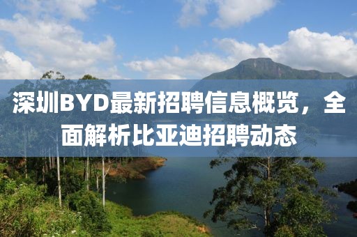 深圳BYD最新招聘信息概覽，全面解析比亞迪招聘動態(tài)