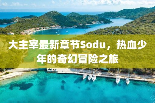 大主宰最新章節(jié)Sodu，熱血少年的奇幻冒險之旅