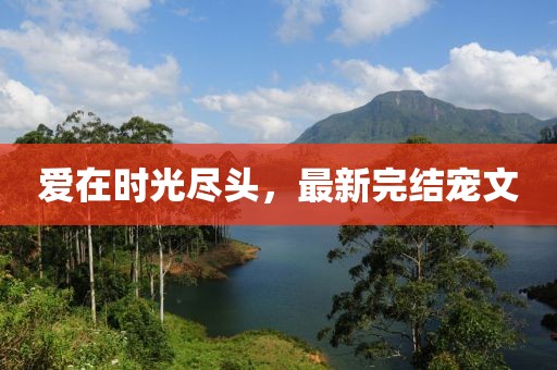 愛在時光盡頭，最新完結(jié)寵文