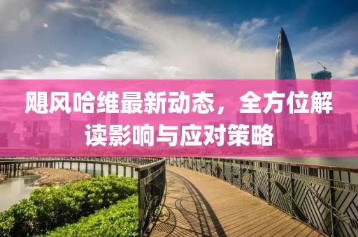 颶風(fēng)哈維最新動(dòng)態(tài)，全方位解讀影響與應(yīng)對(duì)策略