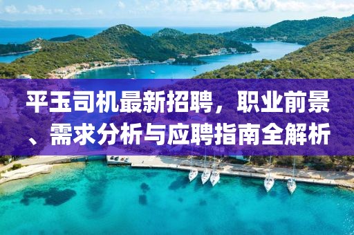 平玉司機最新招聘，職業(yè)前景、需求分析與應(yīng)聘指南全解析
