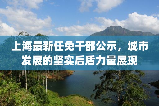 上海最新任免干部公示，城市發(fā)展的堅(jiān)實(shí)后盾力量展現(xiàn)