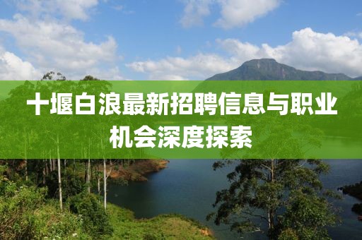 十堰白浪最新招聘信息與職業(yè)機(jī)會深度探索