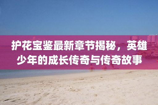 護(hù)花寶鑒最新章節(jié)揭秘，英雄少年的成長傳奇與傳奇故事