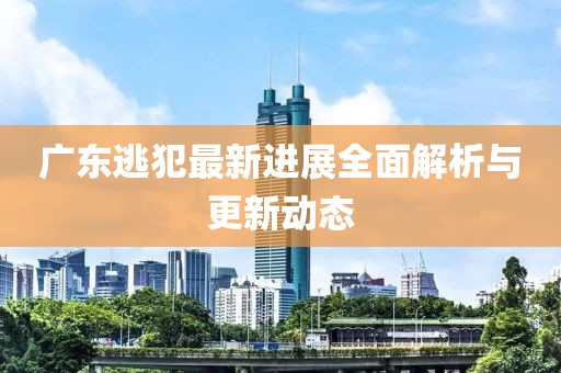 廣東逃犯最新進(jìn)展全面解析與更新動(dòng)態(tài)