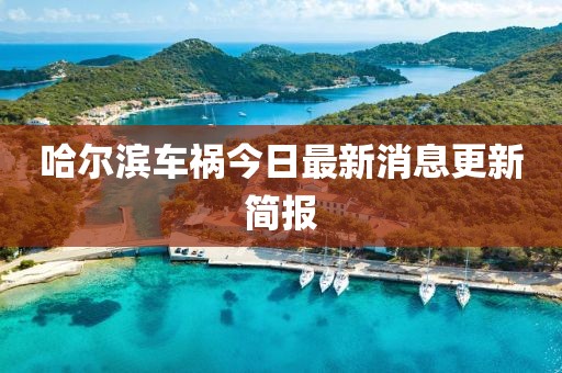 哈爾濱車(chē)禍今日最新消息更新簡(jiǎn)報(bào)