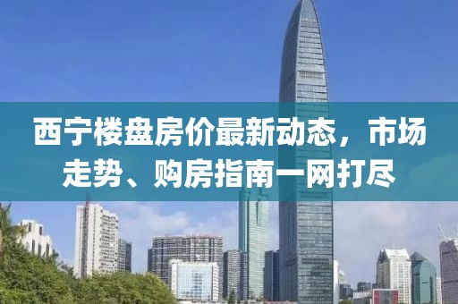 西寧樓盤房價(jià)最新動態(tài)，市場走勢、購房指南一網(wǎng)打盡