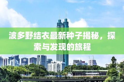 波多野結(jié)衣最新種子揭秘，探索與發(fā)現(xiàn)的旅程