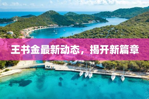 王書金最新動(dòng)態(tài)，揭開新篇章