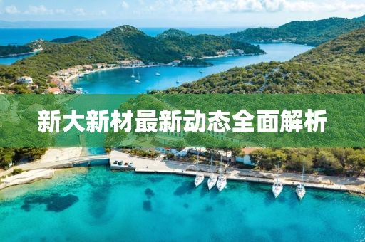 新大新材最新動態(tài)全面解析