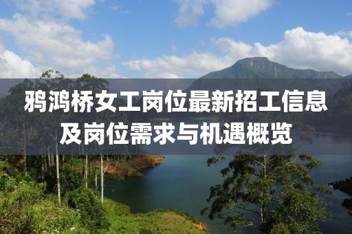 鴉鴻橋女工崗位最新招工信息及崗位需求與機(jī)遇概覽