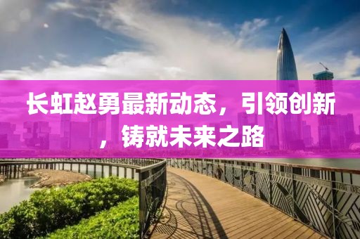 長虹趙勇最新動態(tài)，引領(lǐng)創(chuàng)新，鑄就未來之路