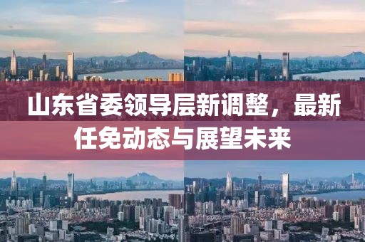 山東省委領(lǐng)導(dǎo)層新調(diào)整，最新任免動態(tài)與展望未來