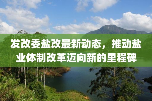 發(fā)改委鹽改最新動(dòng)態(tài)，推動(dòng)鹽業(yè)體制改革邁向新的里程碑