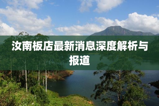汝南板店最新消息深度解析與報道