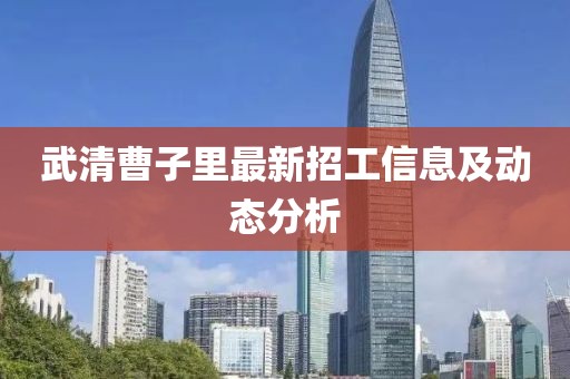 武清曹子里最新招工信息及動(dòng)態(tài)分析