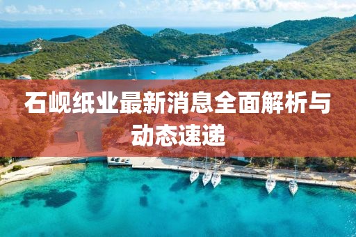石峴紙業(yè)最新消息全面解析與動(dòng)態(tài)速遞