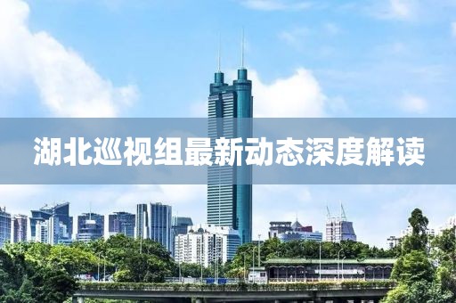湖北巡視組最新動態(tài)深度解讀