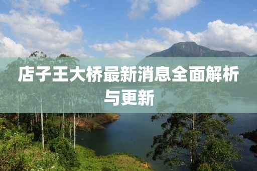 店子王大橋最新消息全面解析與更新