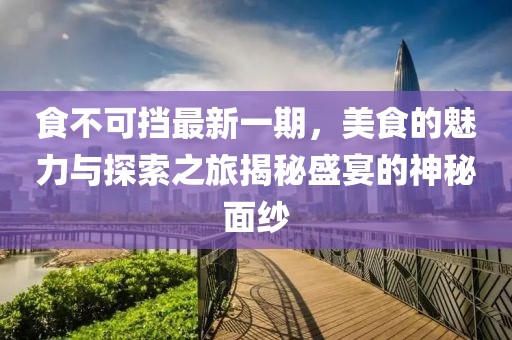食不可擋最新一期，美食的魅力與探索之旅揭秘盛宴的神秘面紗