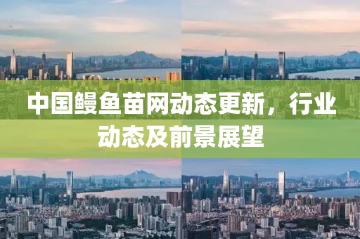 中國鰻魚苗網(wǎng)動態(tài)更新，行業(yè)動態(tài)及前景展望