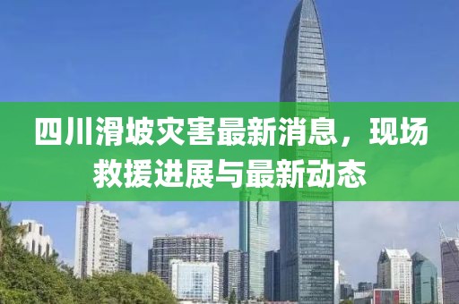 四川滑坡災害最新消息，現(xiàn)場救援進展與最新動態(tài)